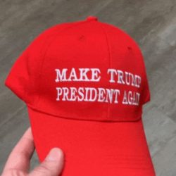 Make Trump President Again Hat