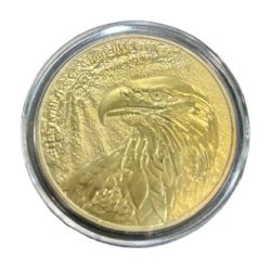 eagle gold coin