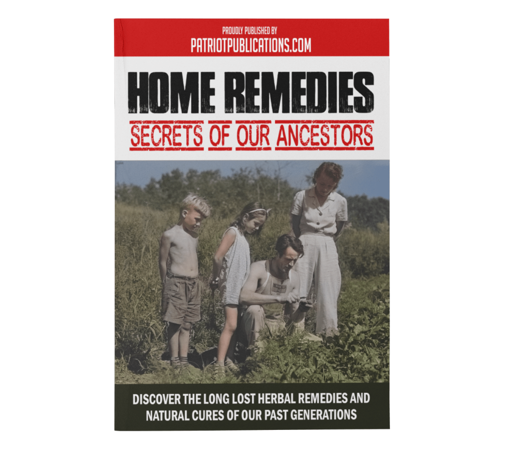 home remedies book irl 3