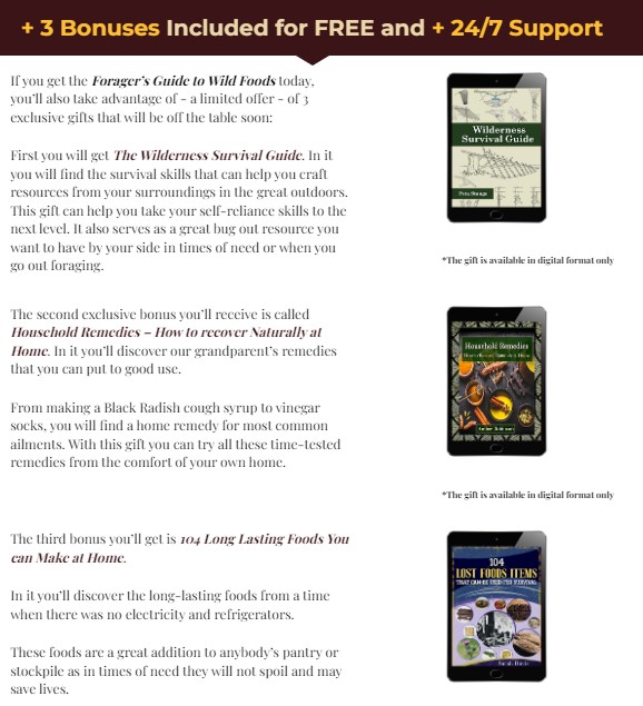 The Forager's Guide To Wild Foods | 3 Free Books - Insight Hiking